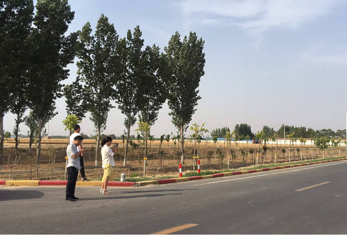 河南公路工程業(yè)務(wù)